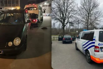 Mechelen Thief flees on foot across E19, halts traffic