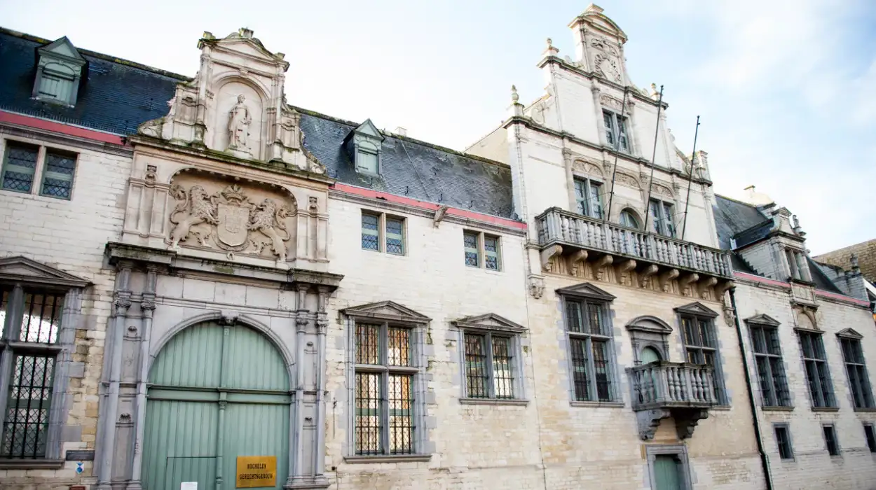 Mechelen mother and son convicted for abuse with two-year sentence