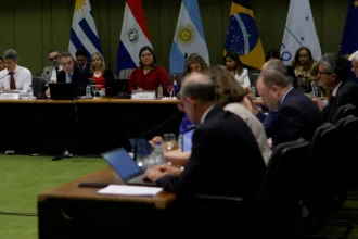 Mercosur Trade Deal, Forests Destroyed Is This the Europe We Stand For