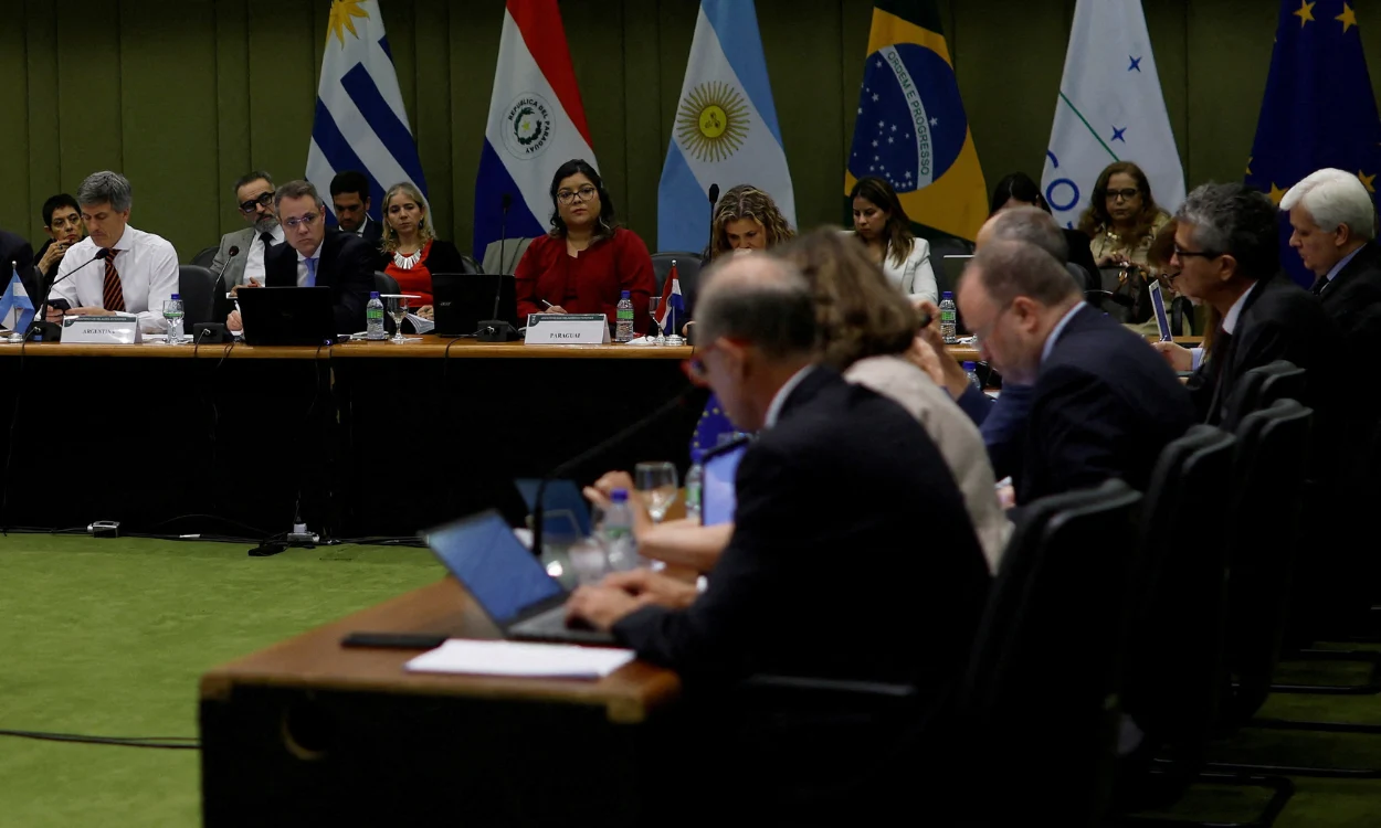 Mercosur Trade Deal, Forests Destroyed Is This the Europe We Stand For