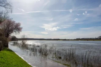 Meuse River clean-up in Moelingen with Dutch, Walloon govts