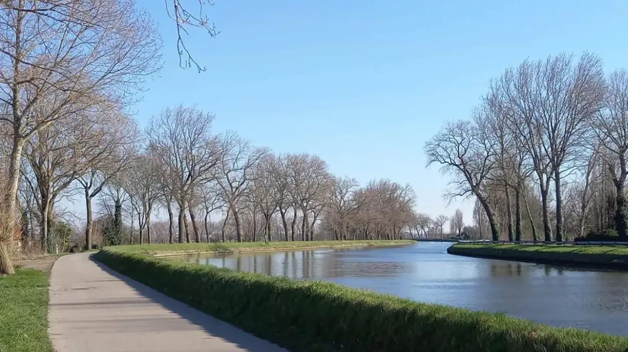 Missing cyclist rescued from Bruges-Ostend canal after search