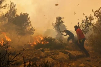 Most Europeans feel unprepared for disasters, survey shows