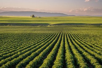 EU agriculture and food security represented by European farmland and crops