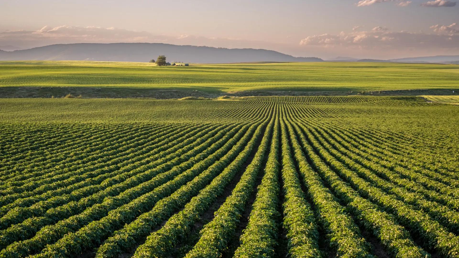 EU agriculture and food security represented by European farmland and crops