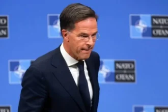 NATO’s Mark Rutte to attend 80th UN session in New York