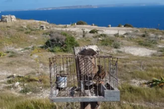 NGO calls out Malta’s minister for misleading European Commission