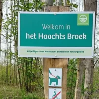 Natuurpunt Haacht to cut 2 Ha American oaks, led by Lemaitre