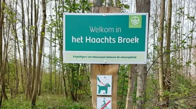 Natuurpunt Haacht to cut 2 Ha American oaks, led by Lemaitre