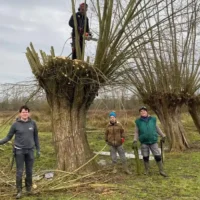 Natuurpunt legacy Volunteers prune trees in Mechels Broek