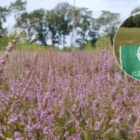 Natuurpunt plants 7.3 Hectares in Heidebos with Gert du Cheyne