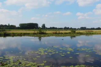 Natuurpunt proposes nature tours for kids in Ghent