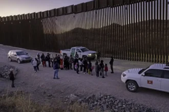 Navigating the EU Migration Debate Insights from a Policy Expert