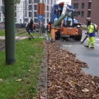 Net Brussel's autumn leaf management 7 workers, 150 km tram network safety