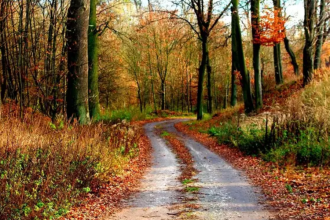 Netherlands Faces Unsettled Autumn Weekend as Yellow Weather Warning Covers Northern Regions