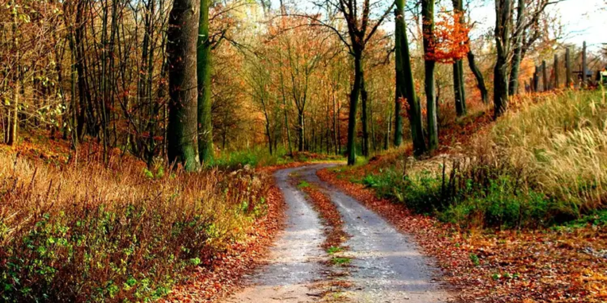 Netherlands Faces Unsettled Autumn Weekend as Yellow Weather Warning Covers Northern Regions