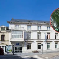 Ninove prunes 6 silver maples amid local debate