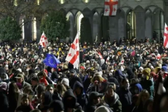 Nordic-Baltic Eight nations call for new elections in Georgia