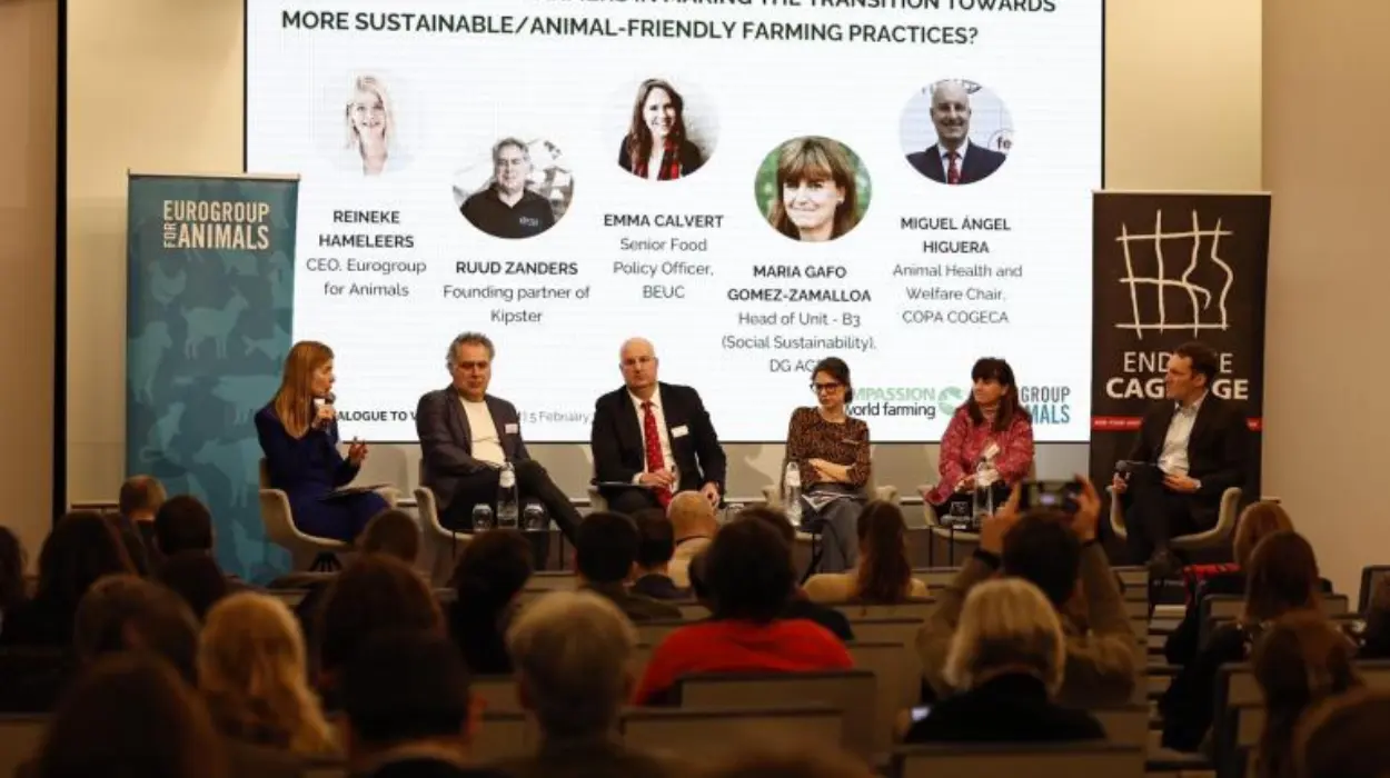 Olivér Várhelyi supports modernisation of animal welfare legislation 