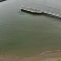 Ostend builds a 200m fence to protect seals at Klein Strand