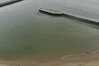 Ostend builds a 200m fence to protect seals at Klein Strand