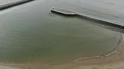 Ostend builds a 200m fence to protect seals at Klein Strand
