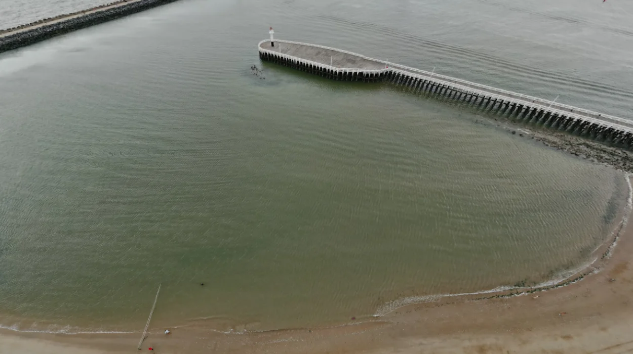 Ostend builds a 200m fence to protect seals at Klein Strand