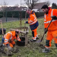 Ostend plants 500 trees & 20,000 shrubs for a greener city