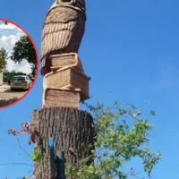 Oud-Turnhout recycling centre closed for 2 days due to strike