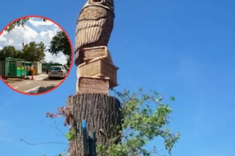 Oud-Turnhout recycling centre closed for 2 days due to strike