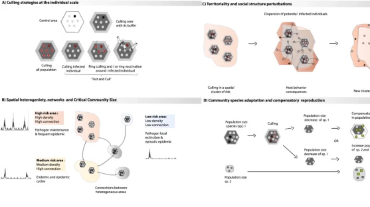 Outbreak Details and Immediate Culling Actions