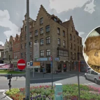 Over 60 guinea pigs abandoned in Roeselare, rescued by Duts