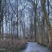 Overijse cyclist acquitted in Leuven fatal crash