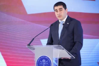 Papuashvili criticises EU pressure on Georgia visa-free travel