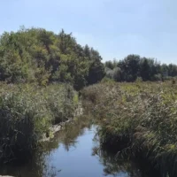 Pelt imposes sailing ban on Dommel and Kleine Nete