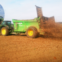 Pelt launches 1st wood chip farming trial in Flanders