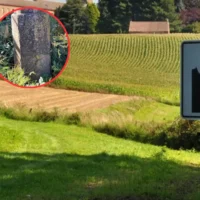 Pepingen restores 4-meter Heikruis pillory after LVB proposal