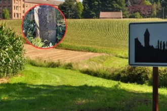 Pepingen restores 4-meter Heikruis pillory after LVB proposal