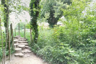 Planckendael stray dog attack Owner must pay €12K