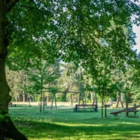 Police Apprehend Suspect After Multiple Reports of Inappropriate Behavior in Ghent