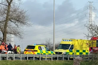 Police chase leads to crash on Bruges N31 expressway, causing major disruptions