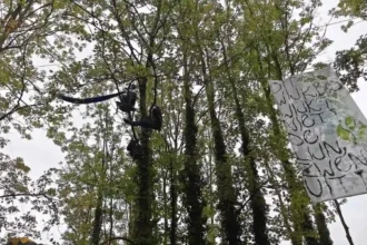 Police clear Bloemekenswiikbos in Ghent 17 arrested amid protests
