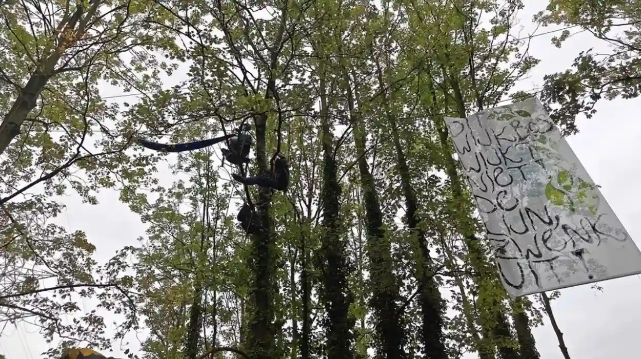 Police clear Bloemekenswiikbos in Ghent 17 arrested amid protests