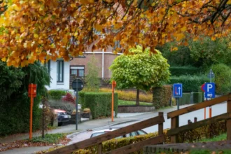 Police shoot 19-year-old in Brussels after iron bar attack