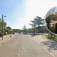 Police uncover large cannabis plantation with 550 plants in Kasterlee