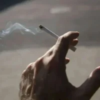 “Policymakers are barking up the wrong tree”