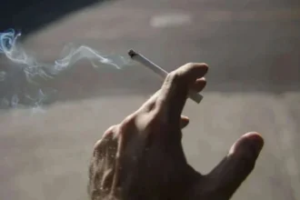 “Policymakers are barking up the wrong tree”