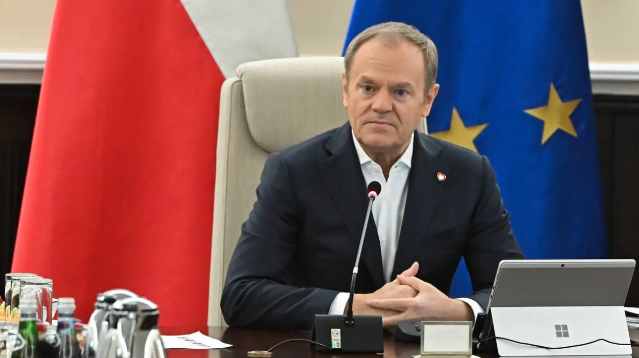 Polish PM Tusk reveals NATO's plan to secure baltic