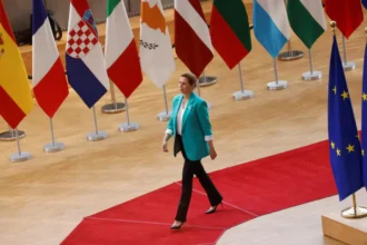 Polish man sentenced for assaulting Danish prime minister