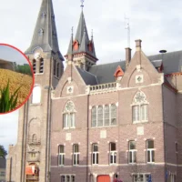 Potatoes spilled as truck crashes in Ruiselede field